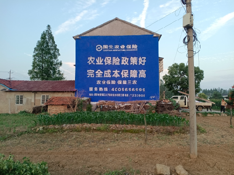 荔波墙体广告的优劣势你知道吗？